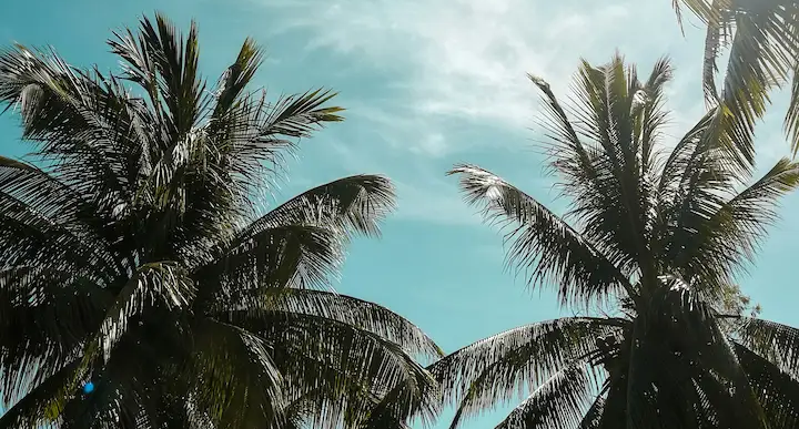 Photo by set.sj on Unsplash